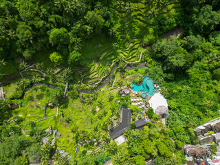 Rice fields in Indonesia