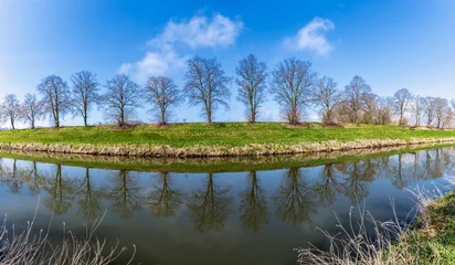 Papier Peint photo Lavable Réflexion Trees on the banks of the Elbe are reflected in the water under a bright blue sky