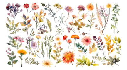 Schilderijen op glas Geschilderde Bloemen Set watercolor wild flowers, leaves and grass. Collection botanic garden elements. Vector isolated illustration in vintage style  © M-KOS