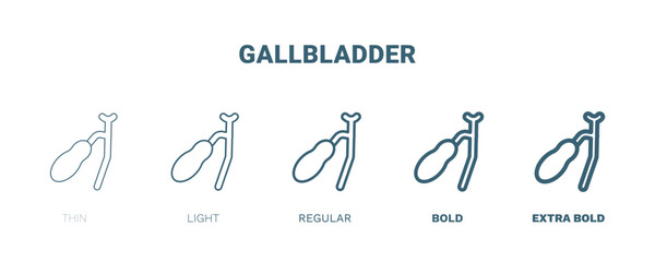 gallbladder icon. Thin, light, regular, bold, black gallbladder icon set from medical and healthcare collection. Editable gallbladder symbol can be used web and mobile
