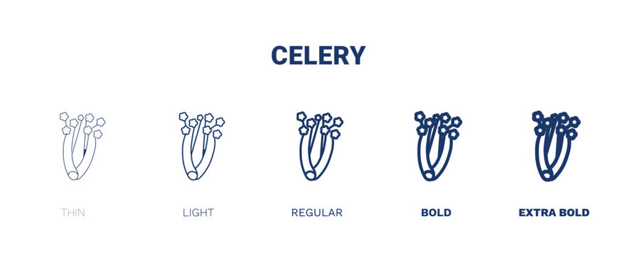 celery icon. Thin, light, regular, bold, black celery icon set from vegetables and fruits collection. Editable celery symbol can be used web and mobile