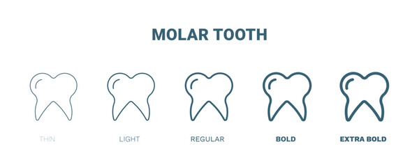 molar tooth icon. Thin, light, regular, bold, black molar tooth icon set from medical and healthcare collection. Editable molar tooth symbol can be used web and mobile