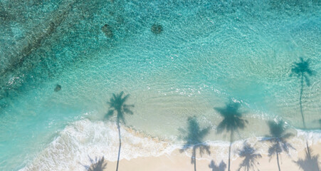 Summer Palm trees shadow on the sandy beach and turquoise Tropical beach with blue background