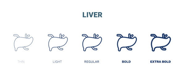 liver icon. Thin, light, regular, bold, black liver icon set from medical collection. Editable liver symbol can be used web and mobile