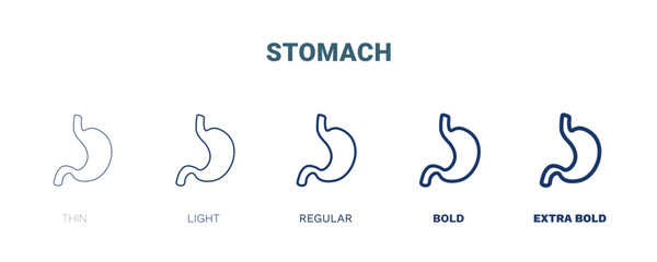 stomach icon. Thin, light, regular, bold, black stomach icon set from medical collection. Editable stomach symbol can be used web and mobile