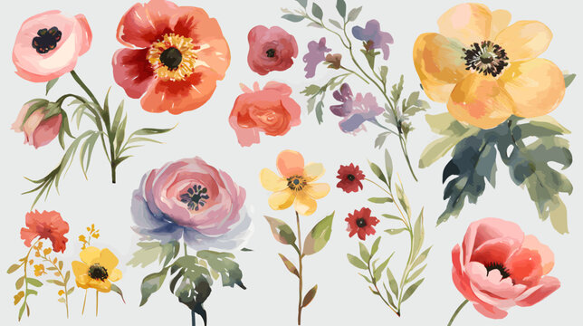 vector flowers in watercolour