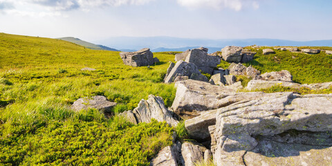 stones and rocks on the grassy alpine meadow. summer mountain landscape on a sunny day. view in to the distant mountain - obrazy, fototapety, plakaty