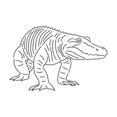 Sketch of Alligator. Hand drawn vector illustration.