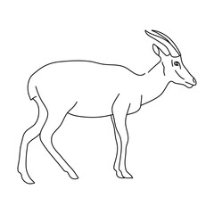 Sketch of Antelope. Hand drawn vector illustration.