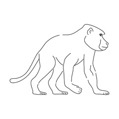 Baboon in line art drawing style. Vector illustration.