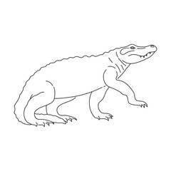 Sketch of Crocodile. Hand drawn vector illustration.