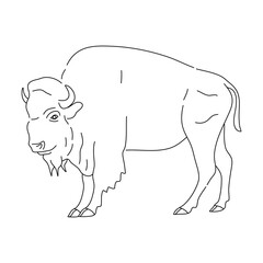 Sketch of Bison. Hand drawn vector illustration.