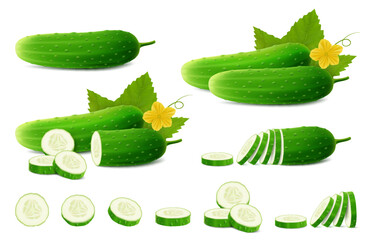 Cucumbers set. Whole fresh cucumber, half, chopped, slices and cucumbers group. Set of cucumber plant parts, leaf, flower. Organic vegetables. Healthy, diet, vegetarian food. Realistic 3d vector