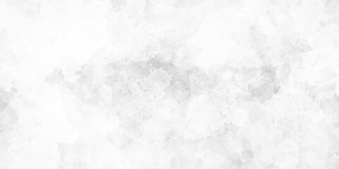 Obraz premium White abstract ice texture grunge background. white background with gray vintage marbled texture, distressed old textured stained paper design. White Grunge Wall Background.
