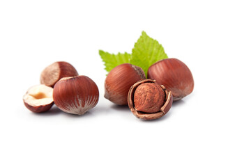 Hazelnuts with leaves on white backgrounds. Photo