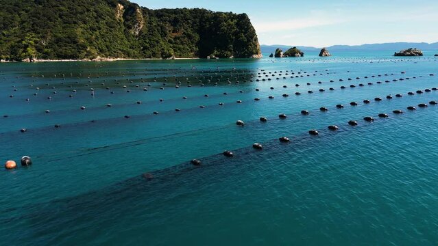 Clam breeding farms filmed on a sunny day near the rocks and cliffs in New Zealand