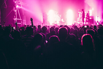 Fototapeta na wymiar crowd at live concert music festival