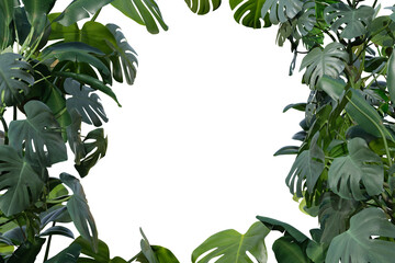 Tropical plants on transparent background as png. Botanical foreground. Frame, border with copy space in the middle. Cut out graphic design element. Realistic leaves. 3D rendering.