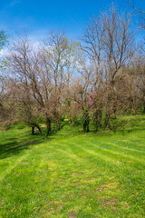 Battlefield at Camp Nelson National Monument