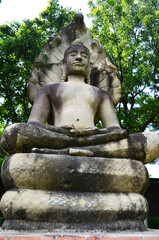 Ancient buddha attitude of meditation protected cover head by mythical serpent or antique Naga Prok for thai people visit praying of King Narai Ratchaniwet Palace at Lopburi city in Lop Buri, Thailand