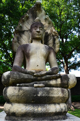 Ancient buddha attitude of meditation protected cover head by mythical serpent or antique Naga Prok for thai people visit praying of King Narai Ratchaniwet Palace at Lopburi city in Lop Buri, Thailand