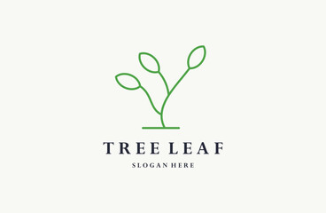 Tree Leaf Logo design template vector linear style.
