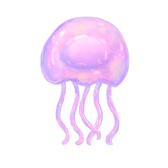 jellyfish