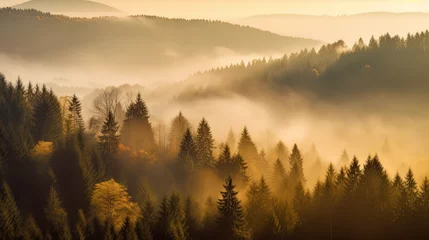 Foto auf Acrylglas Morgen mit Nebel Magical autumn forest with sun rays in the evening. Trees in fog. Colorful landscape with foggy forest, gold sunlight, and orange foliage at sunset