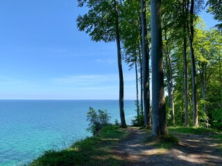 Beautiful park forest landscape with beech trees on the Baltic sea coast on resort island Ruegen, Germany