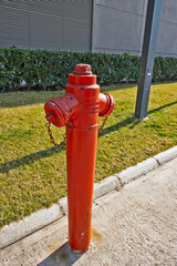 Fototapeta na wymiar A bright orange fire hydrant lit by the sun stands on the pavement next to a green lawn