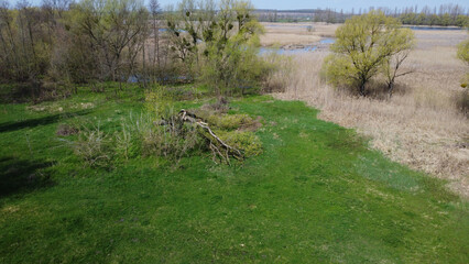 landscape background. Riverside. Spring nature.  Flying photo.