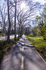 Bicycle track through the park on a spring day in the morning.