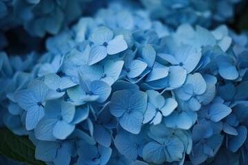 The illustration of hydrangea, ai contents by midjourney