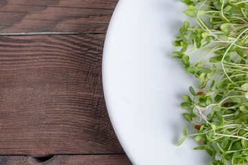 Sprouted flax seeds on a plate. The concept of useful and healthy food, a set of vitamins and microelements in microgreens.