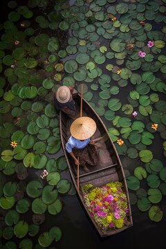 A local collecting waterlily flowers, Vietnam