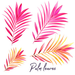 Fototapeta na wymiar Set of vector tropical palm leaves