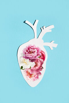 Anatomical paper heart with natural colors on blue paper background. Concept of therapy, health care and treatment. Vertical image.