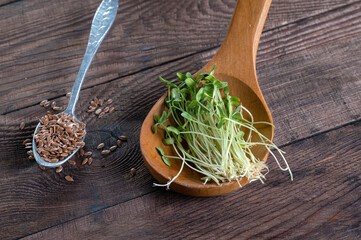 Young flax sprouts in a wooden spoon on a wooden table. Flax seeds in a metal spoon. Sprouted flax seeds. Super food, micro-greens, a set of antioxidants, vitamins and trace elements in young flax 