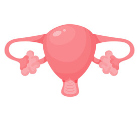 Female uterus. Human reproductive organ. Vector illustration in flat cartoon style. Anatomy concept for design and decoration of medical themes.
