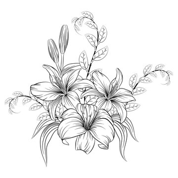 Beautiful monochrome black and white lily bouquet isolated on background. Hand drawing. Design for greeting card and invitation for wedding, birthday, Valentine's Day, Mother's Day and other holidays.