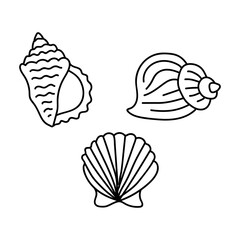 Vector shells in the doodle style. hand drawn seashells black outline sketch isolated elements on white background for design template