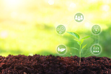 Green Earth concept , Plant growing with ESG icon - environment ,social and governance sustainable and ethical business