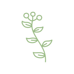 Botanical hand drawn vector element. foliage, leaf branch, floral in line art illustration design for logo, wedding, invitation, decor.