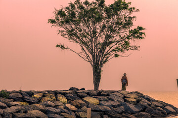 Blurred nature background of the morning sun by the sea, a beautiful golden light, among the trees, rocks and local fishing boats, the beauty of nature during the day.