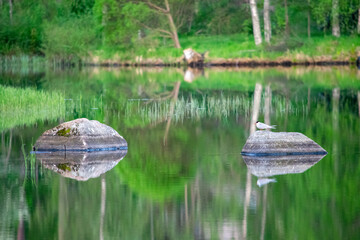 Two rocks in the middle of the lake surrounded by green grass and trees
