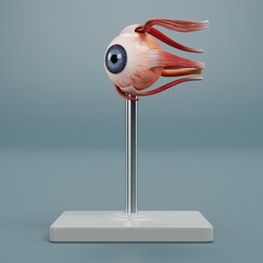 Realistic 3D Render of Eye Anatomy Model