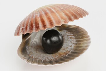 Realistic 3D Render of Black Pearl in Clam