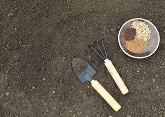 tools for growing on the ground in the garden
