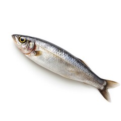 Obraz premium Herring fish isolated on white. Generative AI