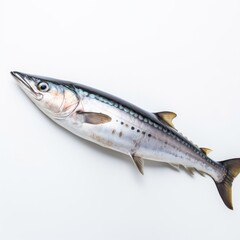 Kingfish King Mackerel fish isolated on white. Generative AI